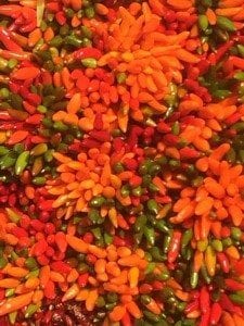 mixed chilli bunches