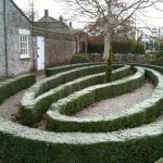 Frost covered box tree knot garden