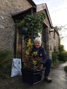 Felicity down planting a seasonal doorstep garden pot