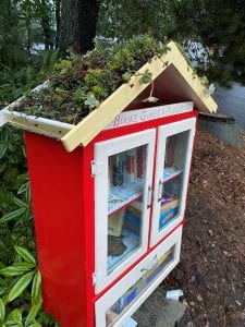 green roof, book case