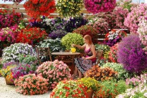 Massed flowers around a lady on a patio