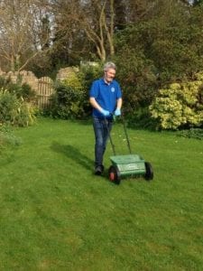 a man apply fertilizer to a lawn