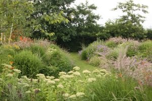 Plant ornamental grasses with perennial partners