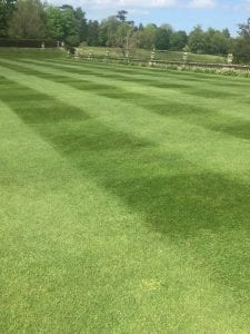 A green lawn with stripes
