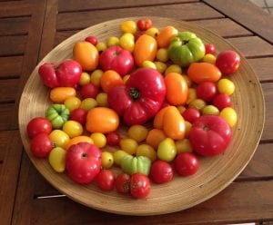tomato varieties, heritage, tomatoes