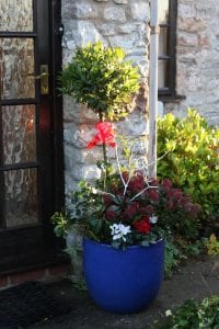 Seasonal winter pplanted pot in front of a house