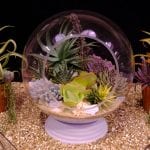 RHS Urban Garden Show 2018, succulents, terraria, terrarium