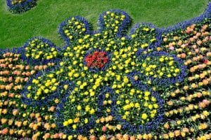 Keukenhof Garden, flower power, bulbs, tulips