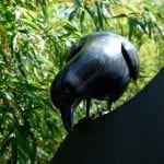 Raven sculpture