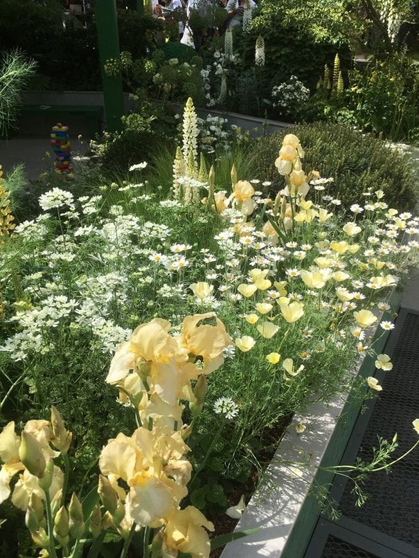 Greenfingers Charity 2019 Chelsea Flower Show Garden