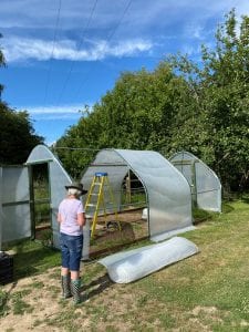 Keder greenhouse, poly tunnel, polytunnel