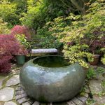 Dyffryn Fernant Garden, garden, pool, water feature