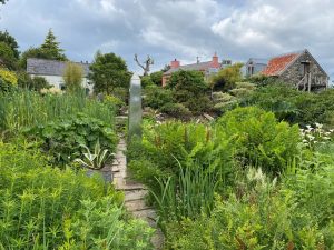Bog garden, Dyffryn Fernant Garden