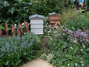 Bee hives, flower garden