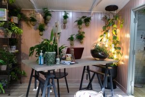 house plant studio, work space