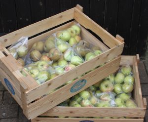 boxes of apples in plastic bags