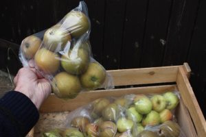 Apples in polythene bags