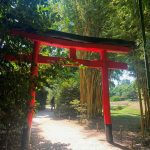 Red Japanese arch gate