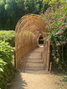 Split bamboo cane garden tunnel