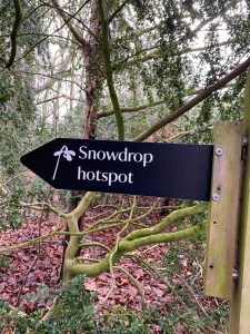 snowdrop hot spot sign
