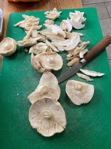 St Geroge's mushrooms on a cutting board with knife