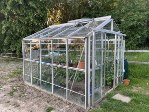 aluminium greenhouse, glasshouse, Robinsons greenhouse