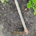 hoe on bare earth, heavy hoe with short handle
